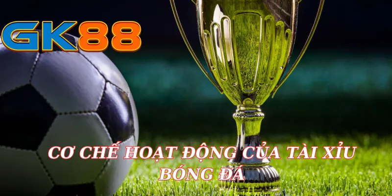 Hiểu Rõ Về Tài Xỉu Bóng Đá